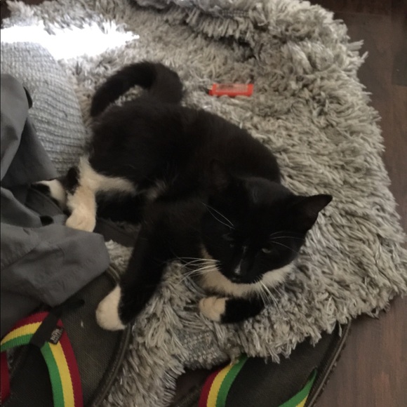 Meet your Posher, Cynthia - Picture 6 of 6